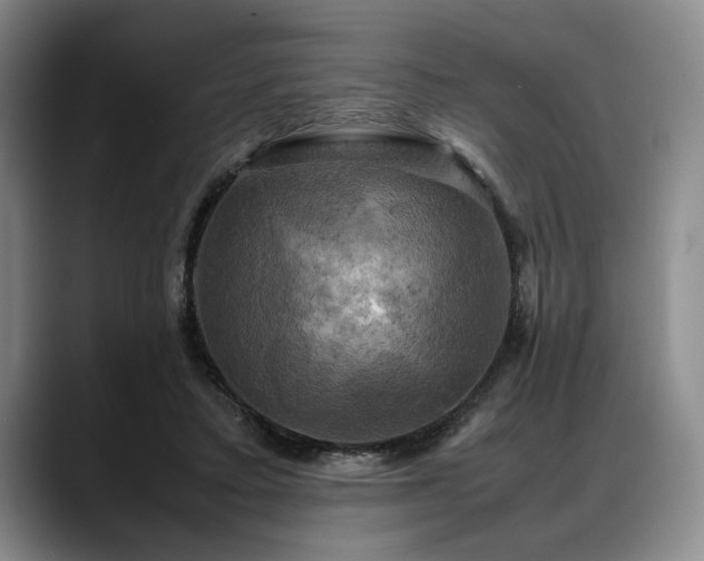 X0000088480403200705291631