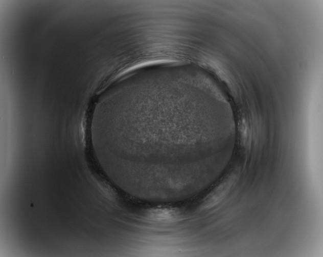 X0000088480404200705291631