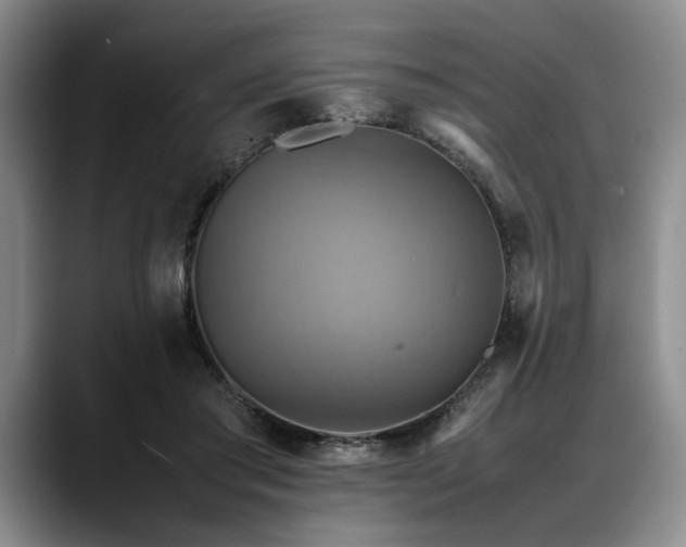X0000088480405200705291631