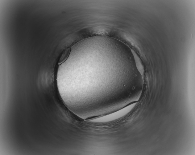 X0000088480407200705291631