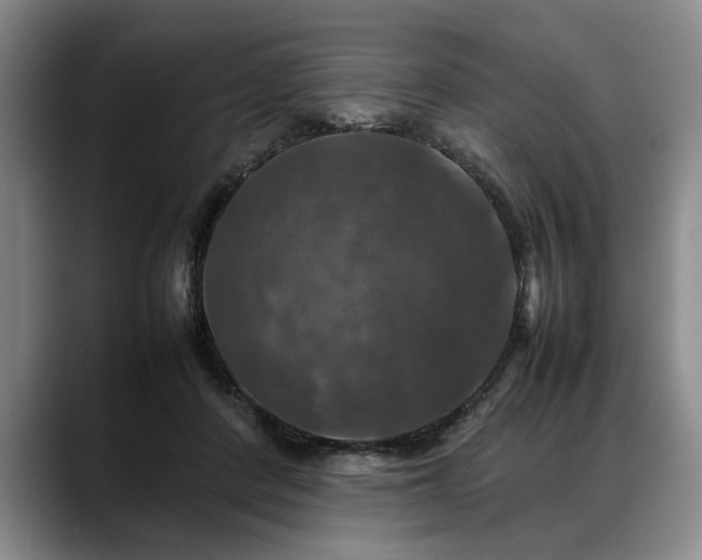 X0000088480408200705291631
