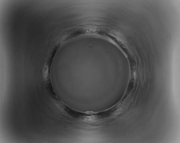 X0000088480411200705291631