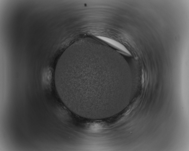 X0000088480412200705291631