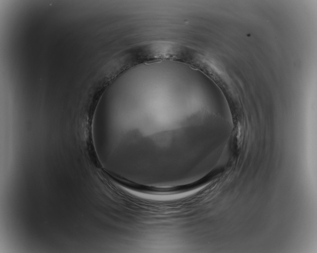 X0000088480413200705291631