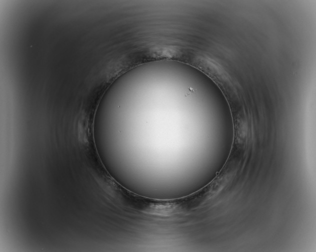 X0000088480414200705291631