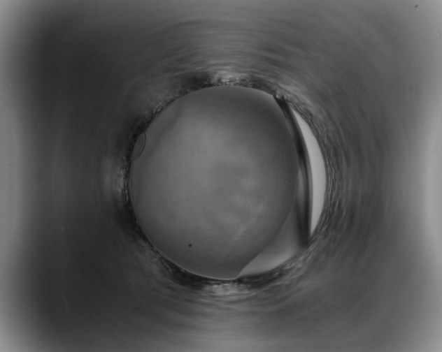X0000088480417200705291631