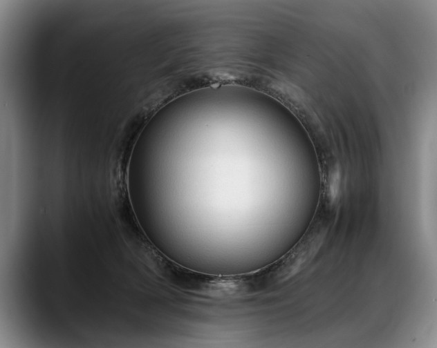 X0000088480418200705291631