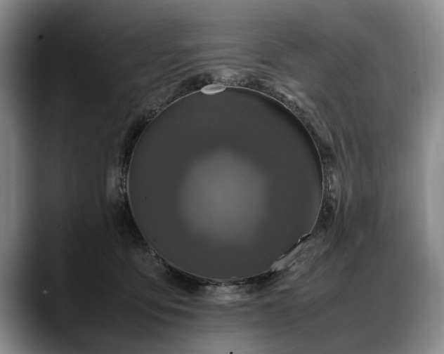X0000088480419200705291631