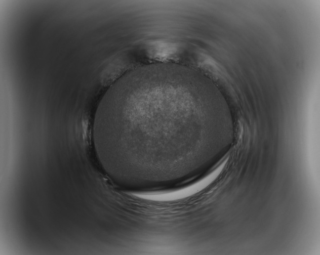 X0000088480420200705291631