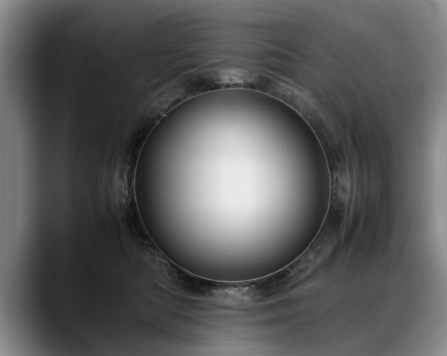 X0000088480422200705291631