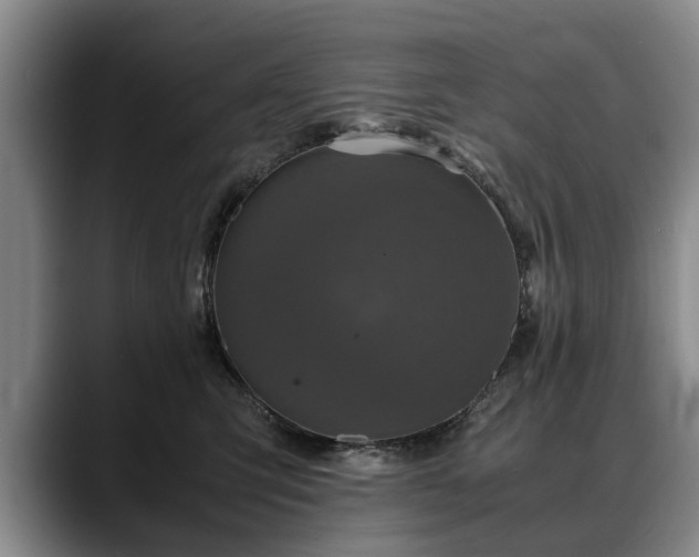 X0000088480423200705291631