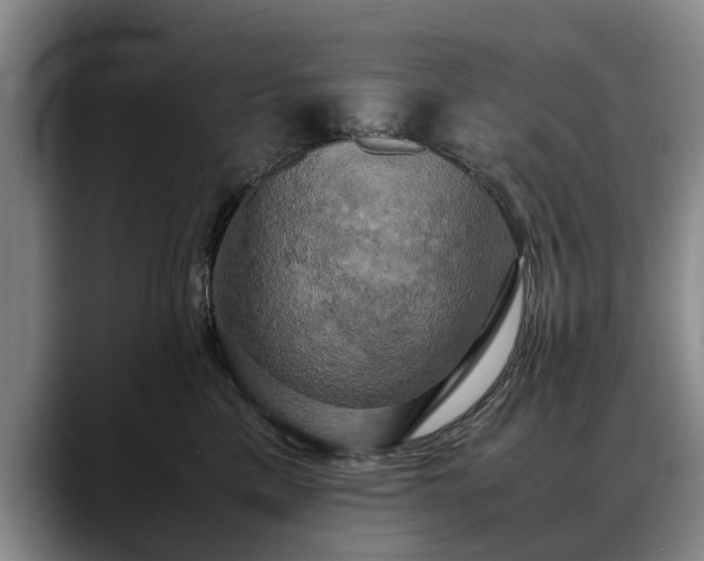 X0000088480425200705291631