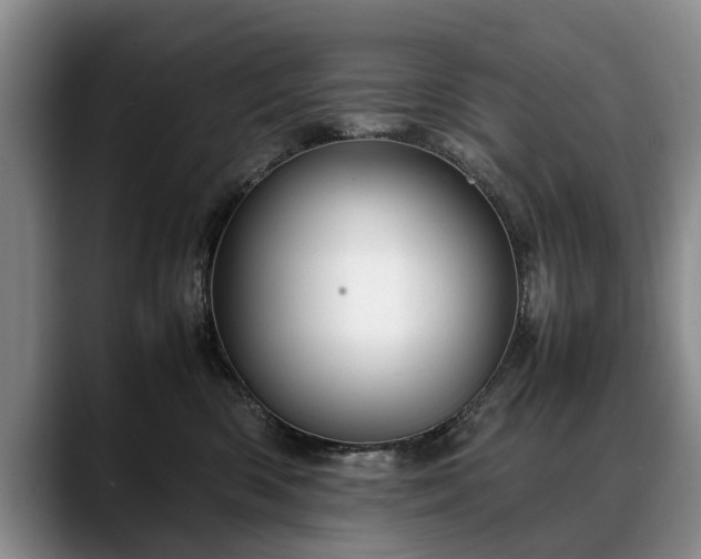 X0000088480426200705291631