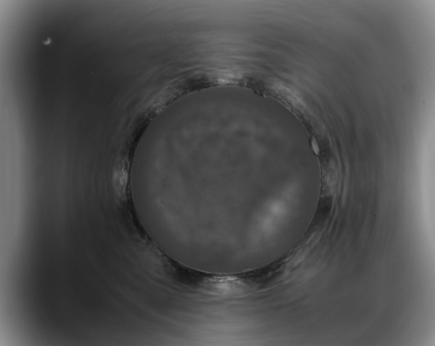 X0000088480427200705291631