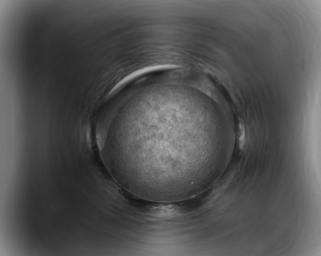X0000088480428200705291631