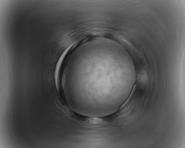 X0000088480429200705291631