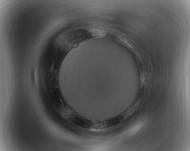 X0000088480431200705291631