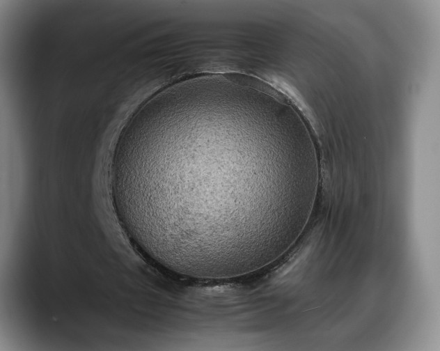 X0000088480433200705291630