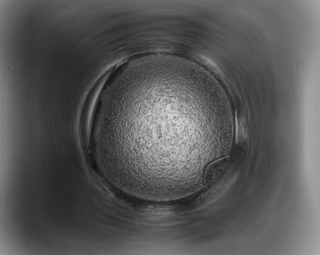 X0000088480435200705291630