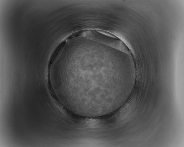 X0000088480437200705291630