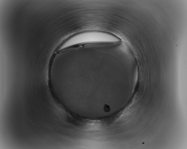 X0000088480438200705291630