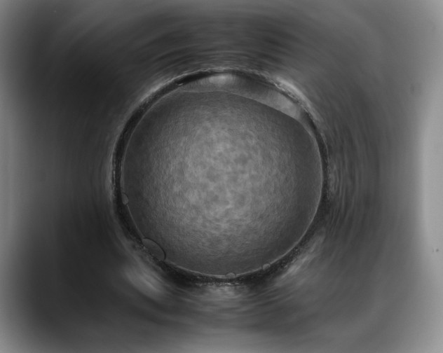 X0000088480439200705291630