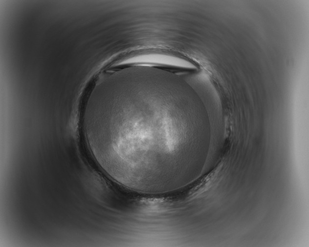 X0000088480440200705291630