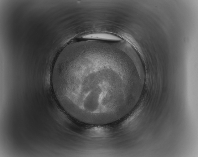 X0000088480441200705291630