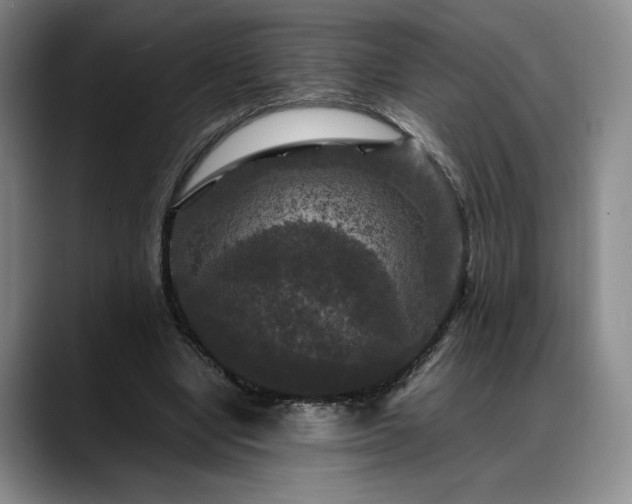 X0000088480442200705291630