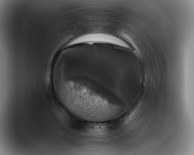 X0000088480443200705291631