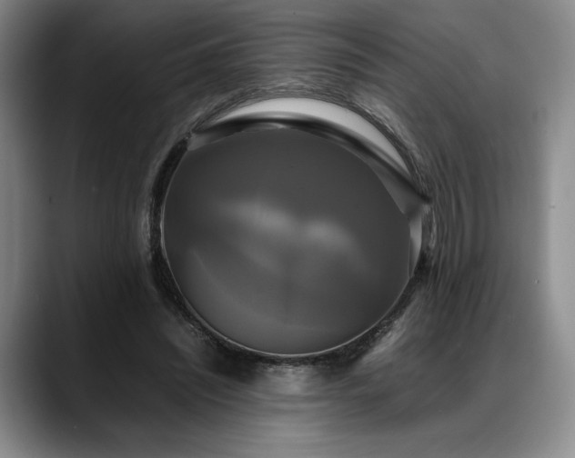 X0000088480444200705291631