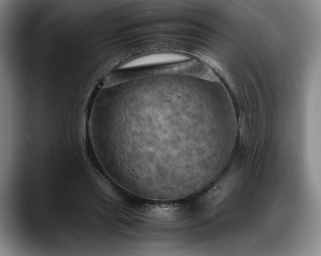 X0000088480445200705291631