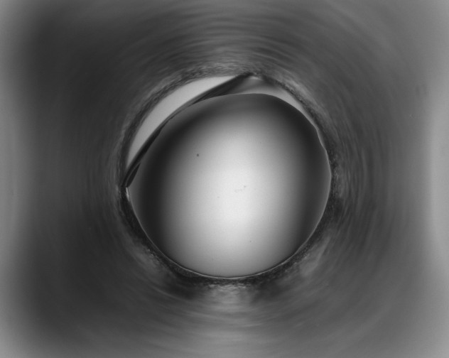 X0000088480446200705291631