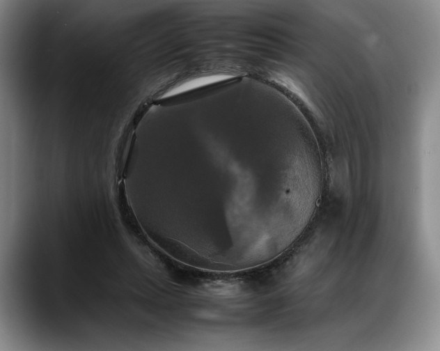 X0000088480447200705291631