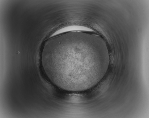 X0000088480448200705291631