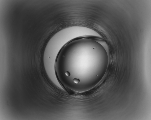 X0000088480452200705291631