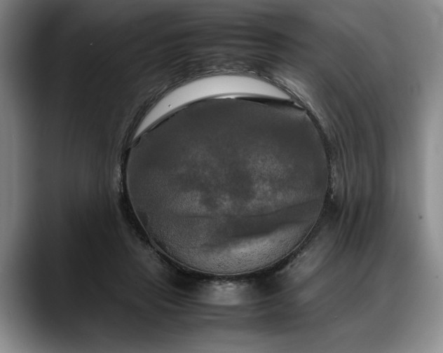 X0000088480453200705291631