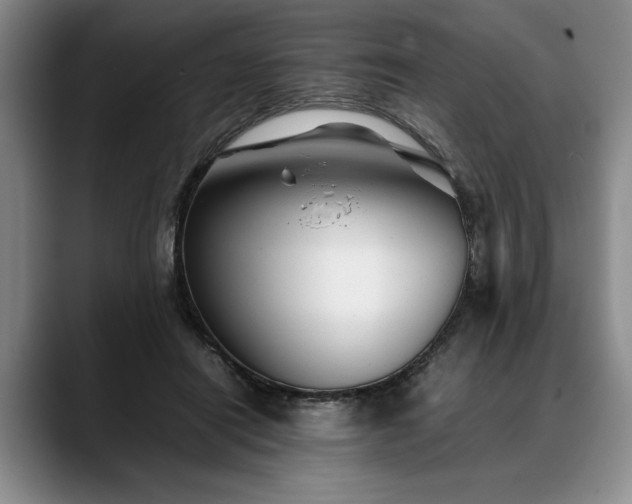 X0000088480454200705291631