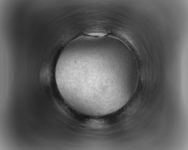 X0000088480455200705291631