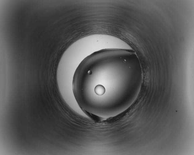 X0000088480456200705291631