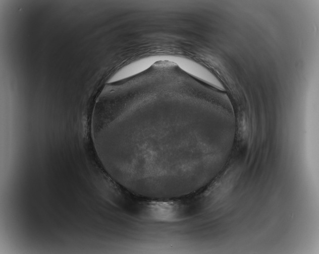 X0000088480457200705291631