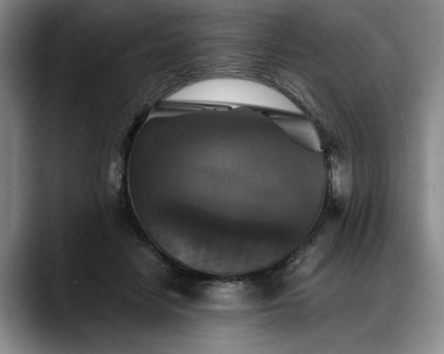 X0000088480458200705291631
