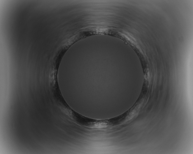 X0000088480462200705291631