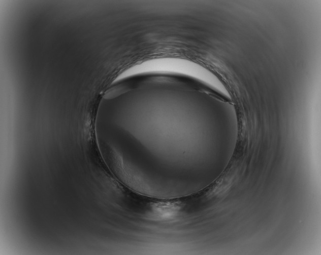X0000088480465200705291631