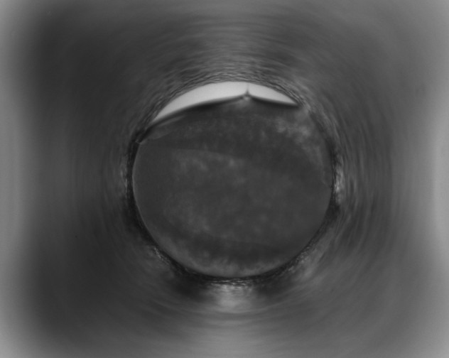 X0000088480466200705291631