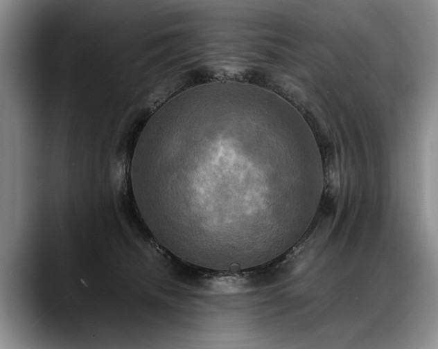 X0000088480468200705291631
