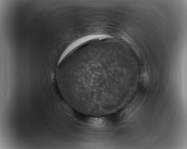 X0000088480469200705291631