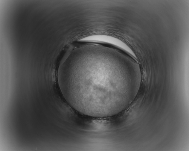 X0000088480470200705291631