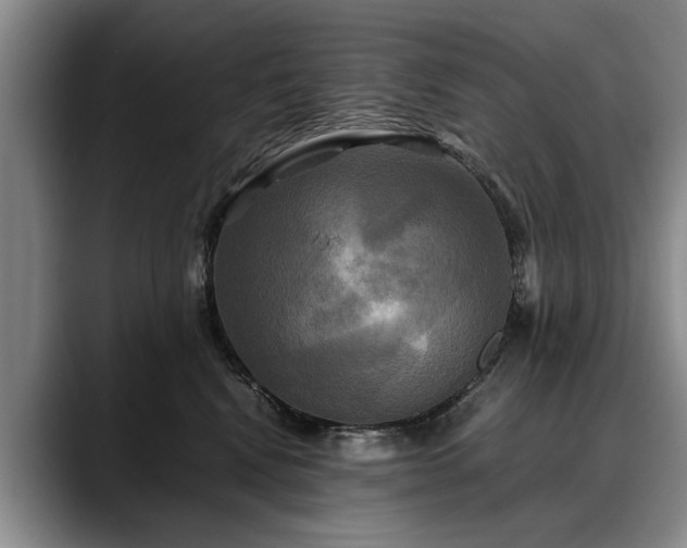 X0000088480472200705291631