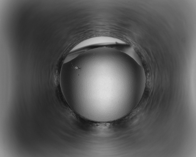 X0000088480474200705291631